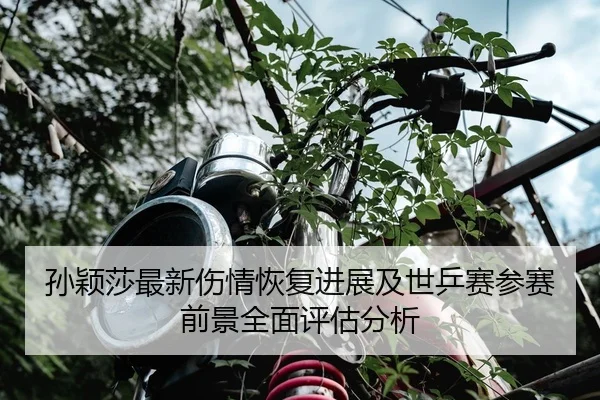 孙颖莎最新伤情恢复进展及世乒赛参赛前景全面评估分析